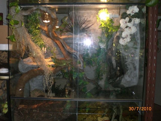 Terrarium mit wasserteil - Terrarien - Schwäbisch Gmünd