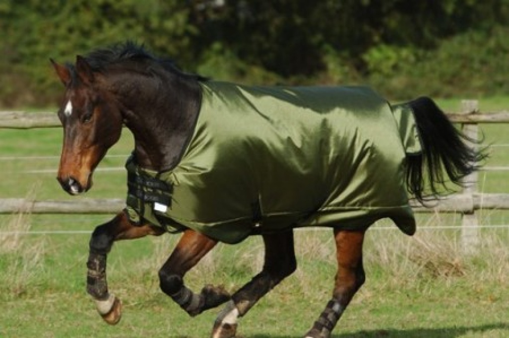 Bucas Smartex Rain Regendecke 90cm neu - Pferde - Stadtsteinach