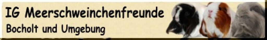 Familientag mit Rassemeerschweinchen Ausstellung - Nagetiere - Bocholt