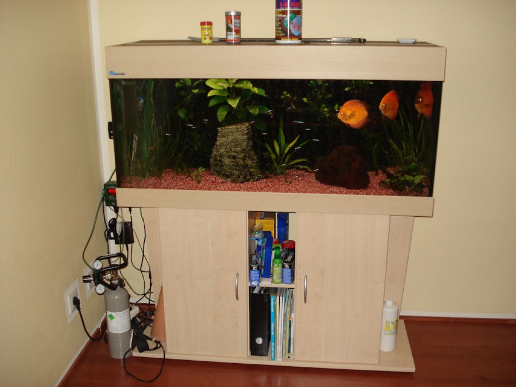 Hochwertiges Aquarium mit Unterschrank und Besatz - Fische - Oldenburg