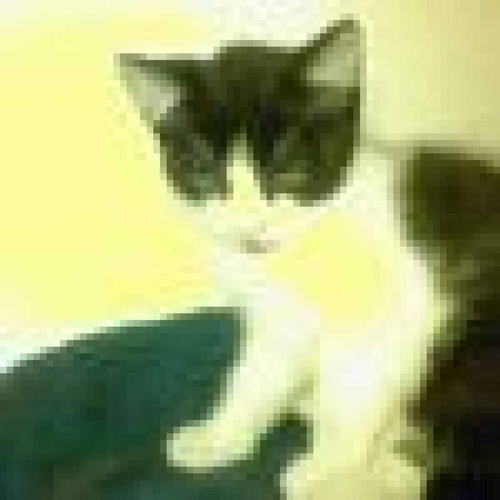Katzenkinder abzugeben - Katzen - Bad Essen