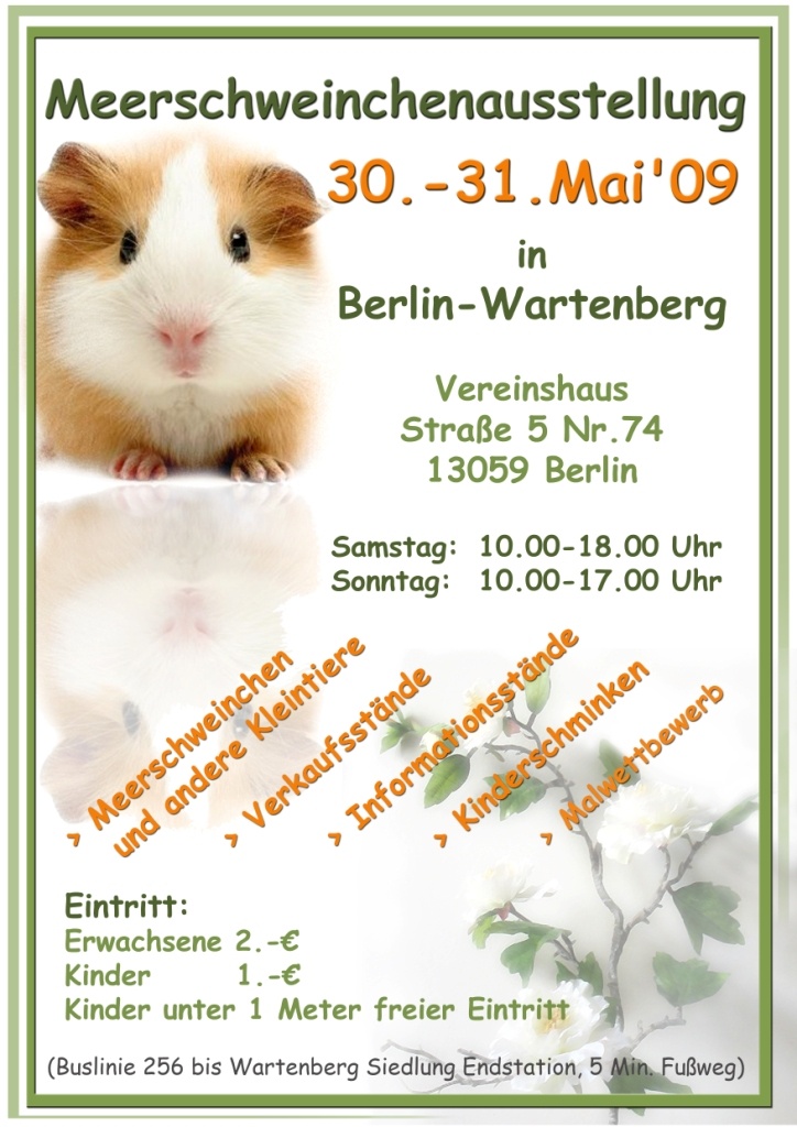 Meerschweinchenausstellung - Nagetiere - Berlin
