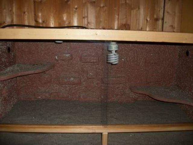 Grosses Terrarium - Terrarien - Krombach