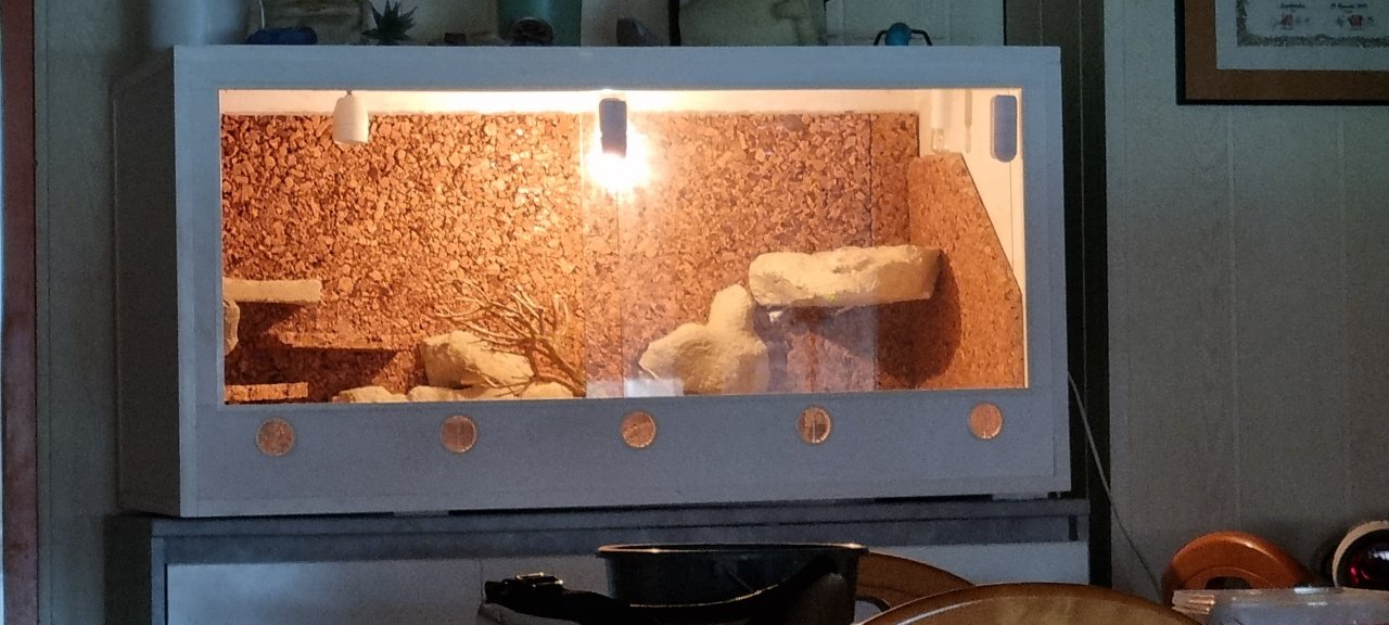 Terrarium PVC 110x55x55 mit Technik - Sonstiges - Reifenberg