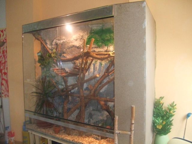 Großes Glasterrarium - Terrarien - Merseburg