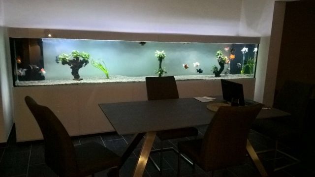 Aquarium Kombination Design- Aquarium Kombination Aquariumkombination - Aquarien und Zubehoer - Dortmund