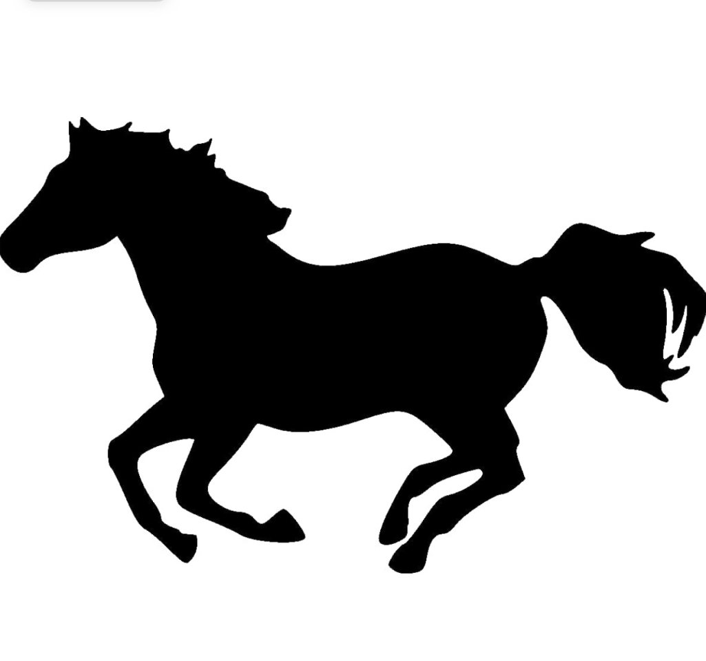 Suche Reitbeteiligung - Pferde - Hallstadt