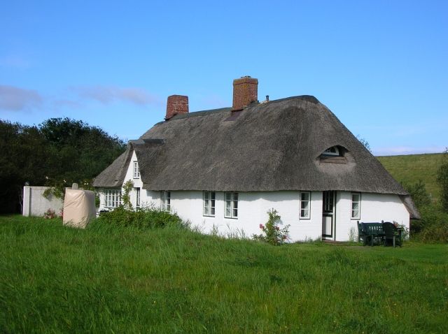 Bezaubernde, romantische Doppelhaushälfte unter Reet - Urlaub Mit Tieren - St. Peter-Ording