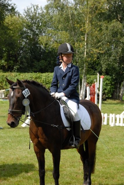 Biete Reitbeteiligung auf liebem Reitponywallach - Reitbeteiligung - Stolpe