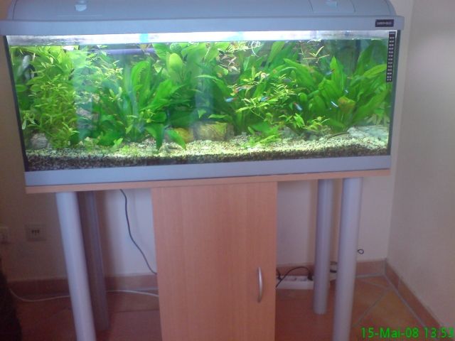 Aquarium 160Liter zu verkaufen - Aquarien und Zubehoer - Prittriching