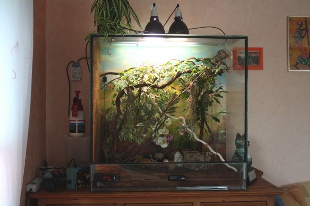 Vollglasterrarium zu verkaufen - TOP ZUSTAND - - Terrarien - Nidderau