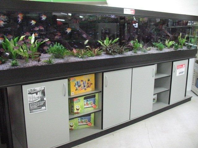 SHOW AQUARIUM Kombination 4 METER! - Aquarien und Zubehoer - Weidhausen bei Coburg