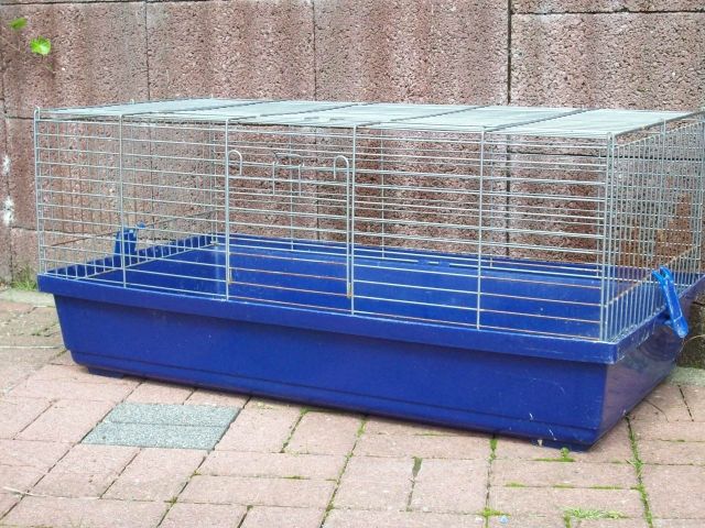 Meerschweinchen/Kaninchenkäfige in verschiedene Farben und größen abzugeben - Hasen Kaninchen - Meinerzhagen