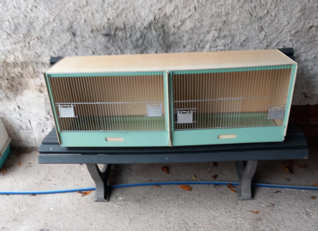 Zuchtbox für Vögel - Voegel - 37339