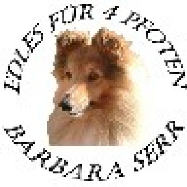 Edles für 4 Pfoten - Hunde - Pulheim