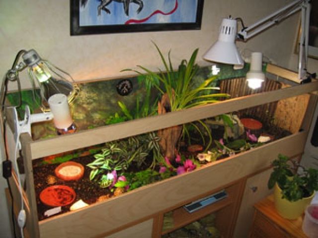 Terrarien für Landschildkröten - Terrarien - Horkheim