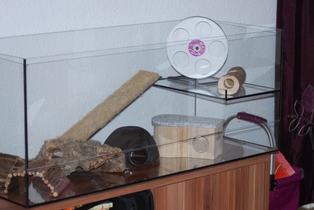 Naggerterrarium 1,00m x 0,4m plus Etage: 0,24m x 0,4m - Hamster - Lübeck
