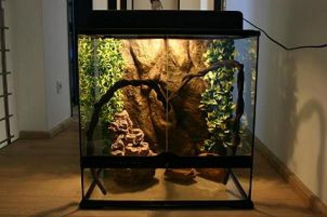 Exo Terra Terrarium 60x45x60 mit viel Zubehör - Terrarien - radolfzell