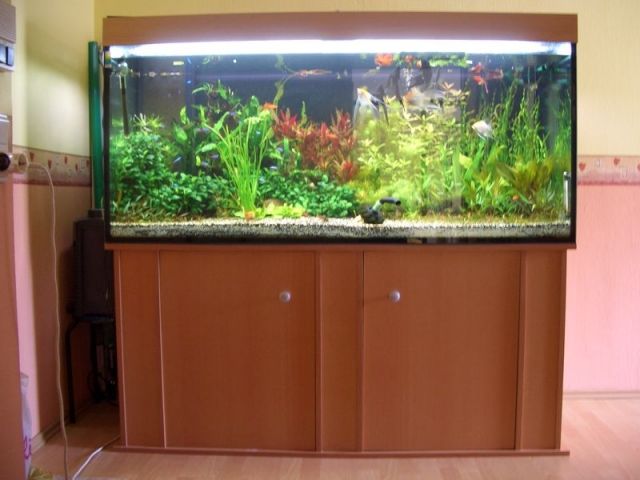 Aquarium 670 l l/b/h = 160/60/70 Unterschrank Abdeckung zu verkaufen - Aquarien und Zubehoer - Dortmund