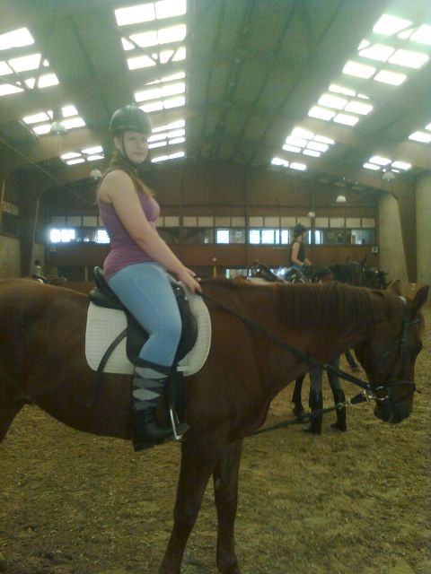 Braucht denn keiner mehr eine zuverlässige Reitbeteiligung? - Reitbeteiligung - siegburg