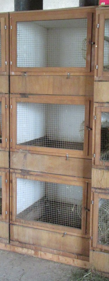 Meerschweinchen / Kaninchenstall 3 Boxen - Nagetiere - Schwenningen