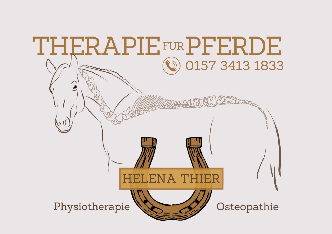 Osteopathie, Physiotherapie und Lasertherapie Pferd - Pferde - Mettingen