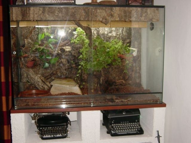 Terrarium Vollglas - Terrarien - München