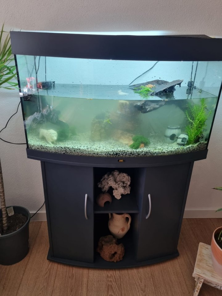 Wasserschildkröten mit Aquarium und Zubehör - Reptilien - Kirchheim am Ries