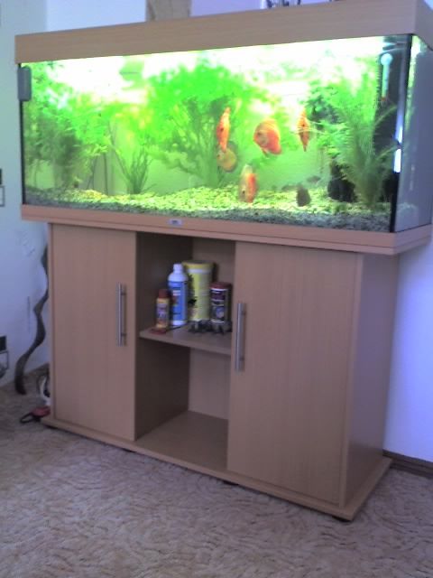 Juwel Aquarium zu verkaufen - Aquarien Zubehoer - Schöningen