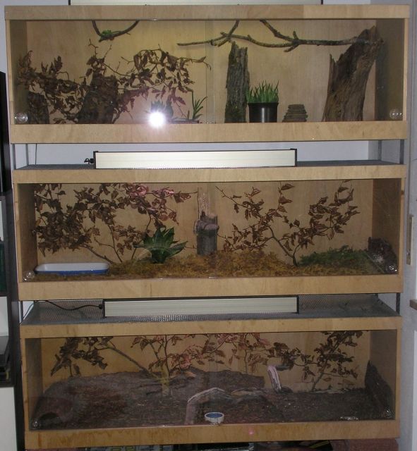 Holzterrarien 6 Stück 150x50x50cm - Terrarien - Peißenberg