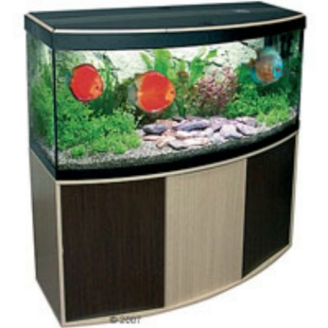 Aquarium Fluval Vicenza 180 Kombination, Wie Neu - Aquarien und Zubehoer - Bad Bibra