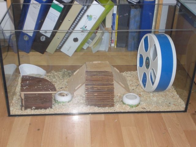Nagerterrarium 40 cm H x 35 cm T x 80 B - Zubehoer für Haustiere - Kirchentellinsfurt