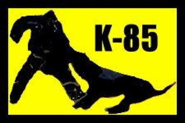 Hundeausbildungs Centrum - Hunde - Handewitt