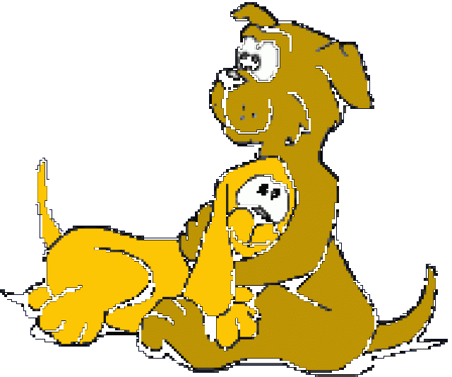 ZOOZIP! IHR SCHNÄPPCHENSHOP FÜR HUND, KATZE & CO!! - Haustiere - 