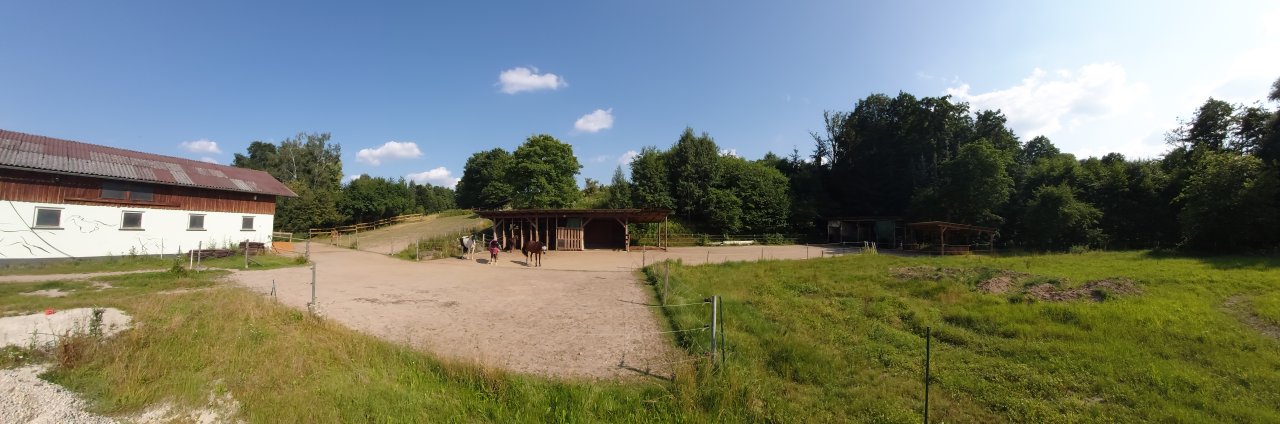 Offenstall Bewegungsstall hat Platz für zwei Wallache frei - Pferde - Lettenreuth