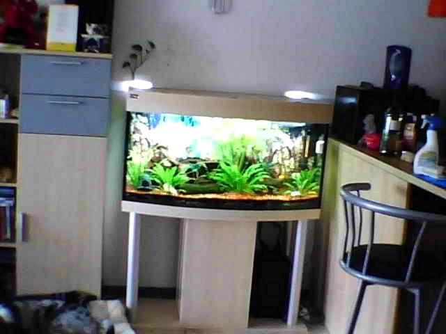 Aquarium 260L Hagen - Aquarien und Zubehoer - Kerpen