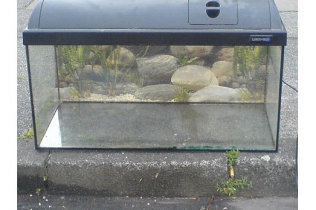   verkaufe wegen umzug mein 60 lieter becken   - Aquarien und Zubehoer - Köln