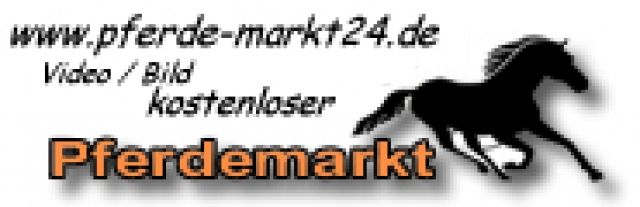 Pferde gesucht - Pferde - Bedburg-Hau