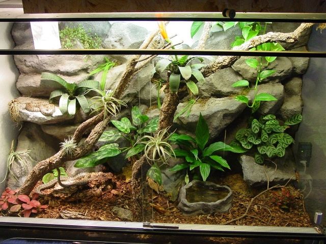 120cm Terrarium mit Design-Rückwand und Einrichtung - Terrarien - Langen
