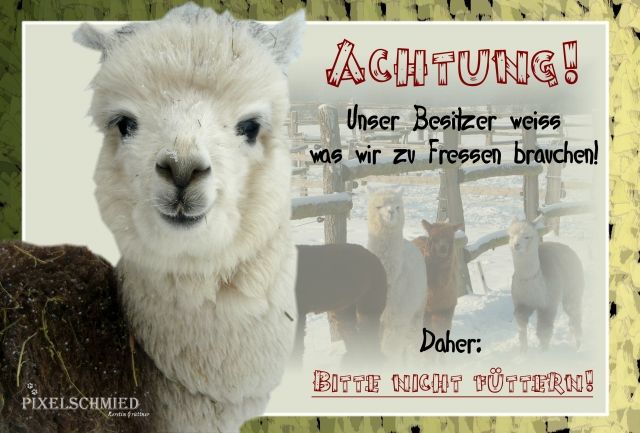 Alpaka Warnschilder und Lesezeichen  - Nutztiere - Lemförde