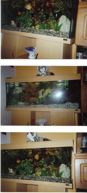 Verkaufe Aquarium - Aquarien und Zubehoer - 