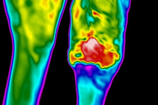 Tier Thermografie - Sonstiges - Soltau