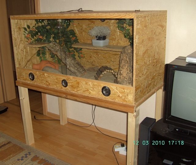 Komplett Terarium + Untergestell mit zwei Zwergbartagamen - Terrarien - Siegen