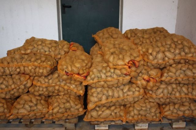    1000 Kg Futterkartoffeln als ideales Winterfutter - Nutztiere - Zülpich