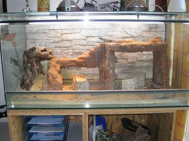 Vollglasterrarium B100xT50xH50 mit allem Zubehör - Terrarien - Wuppertal