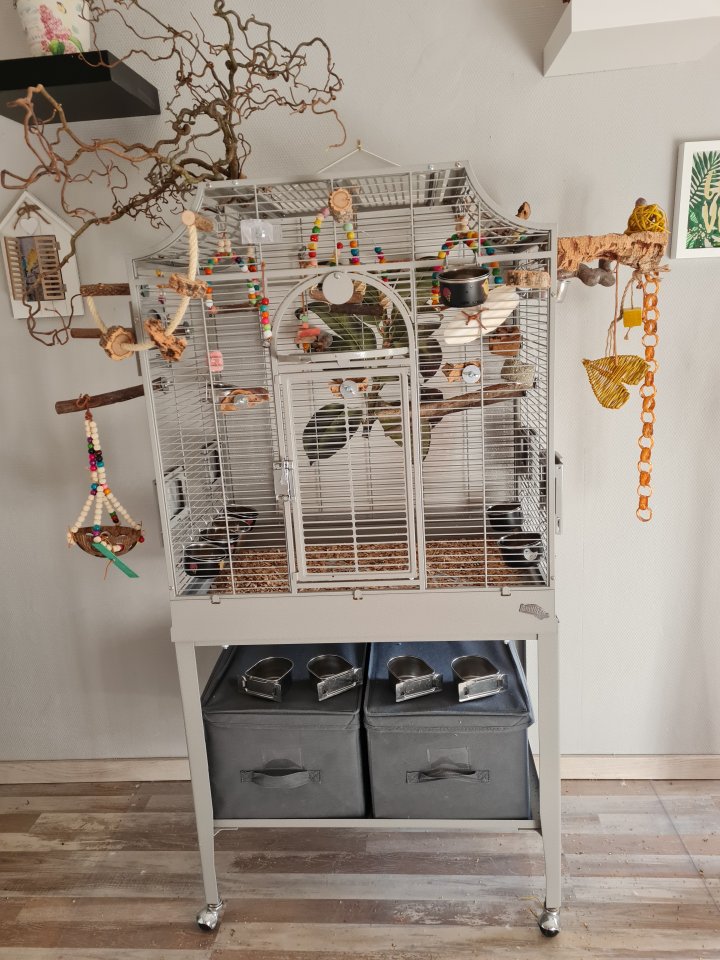 Vogelkäfig Madeira I - Platinum von Montana Cages - Voegel - Essen