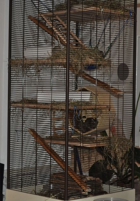 Voliere für Kleinnager oder Vögel - Zubehoer Haustiere - Konstanz