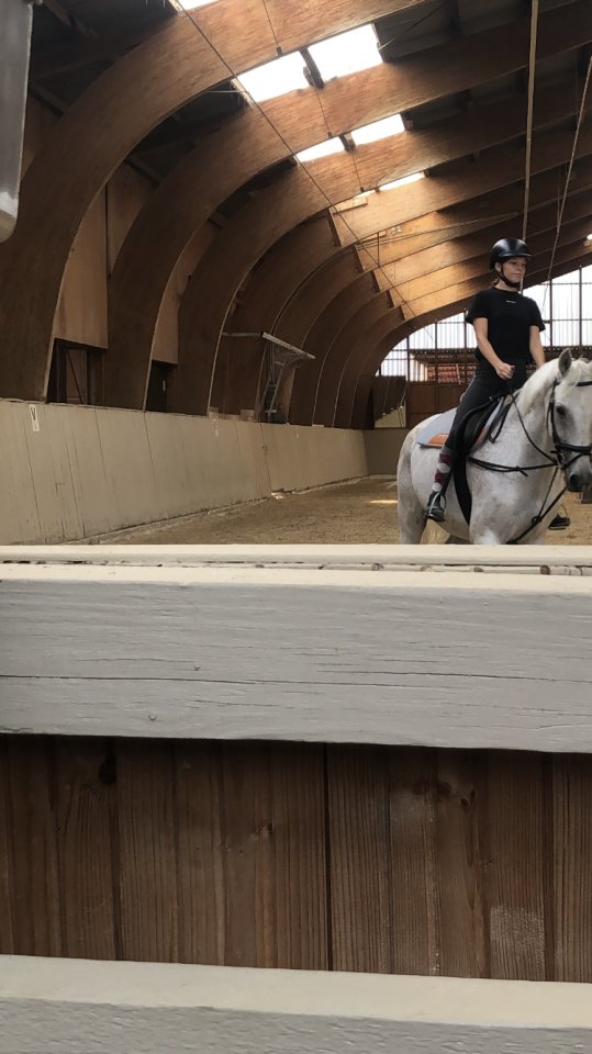 Zuverlässig Reiterin sucht Reitbeteiligung - Pferde - Sachsenheim