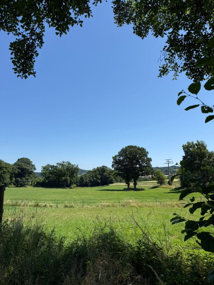 Hengstaufzucht  Bogenroith2 - Pferde - Brennberg