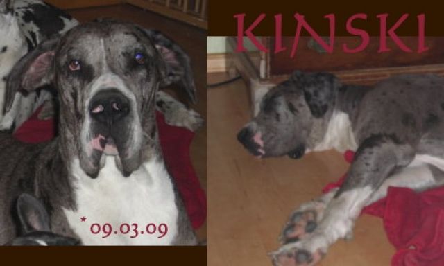 Sie sucht ihn 0160